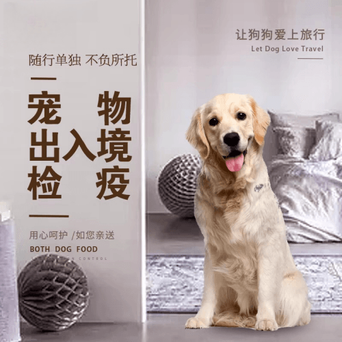 铜陵市宠物托运到哥伦比亚猫狗宠物入境规定和