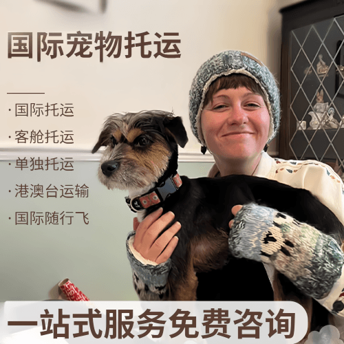 铜陵市国际宠物托运到阿根廷宠物入境规定和要