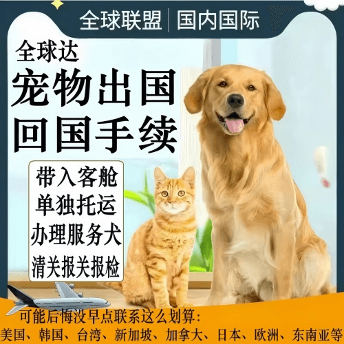 铜陵市宠物托运到柬埔寨宠物入境规定和要求