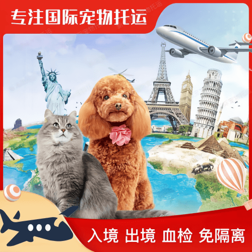 铜陵市宠物托运到美国宠物入境最新规定和要求