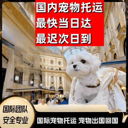 铜陵市到澳大利亚（澳洲）宠物入境规定和要求
