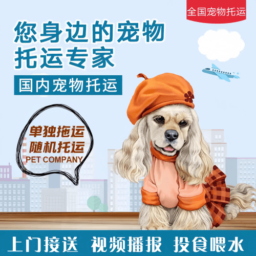 满财铜陵市宠物全球达宠物托运作为专业的宠物运输代理机构